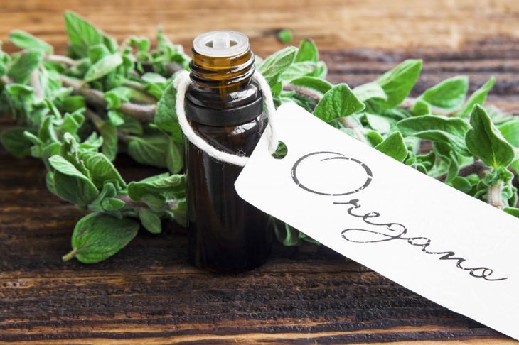 10 Health Benefits of Oregano Oil