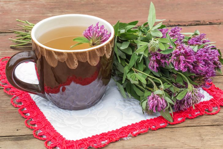 10 Incredible Benefits of Red Clover