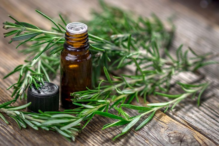 15 Health Benefits of Rosemary