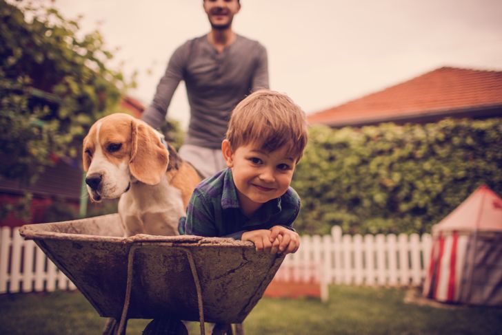 A Healthy Dog Helps Grow a Healthy Family