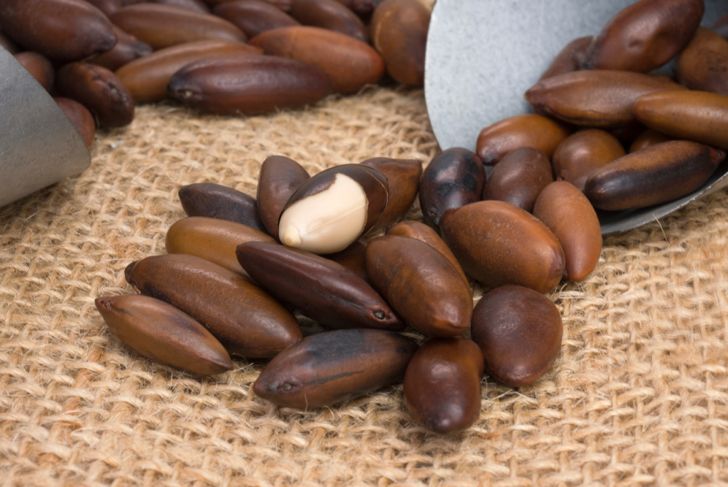 Are Baru Nuts a New Superfood?