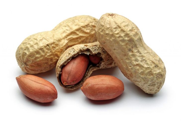 Are Peanuts Safe For Dogs?