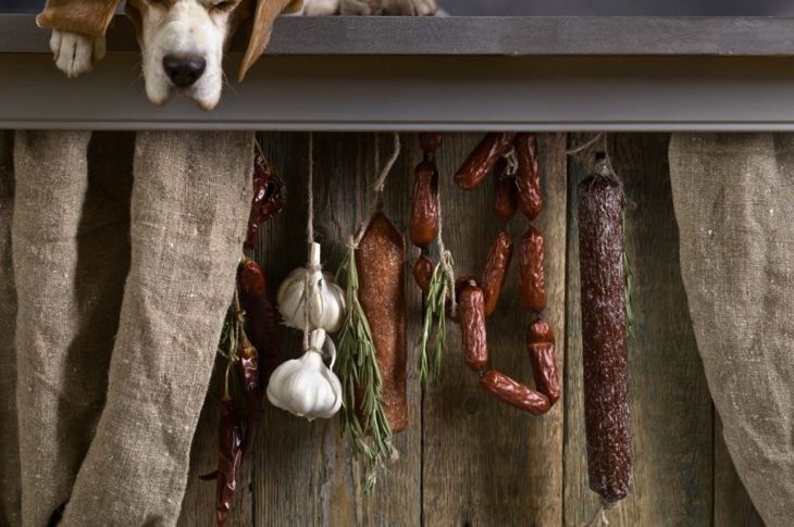 Can Dogs Eat Garlic?