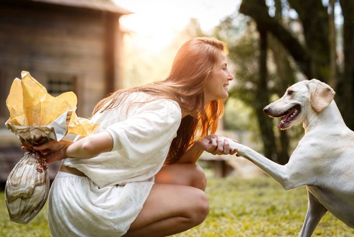 Celebrating Canines: Fun Ways to Spend National Dog Day