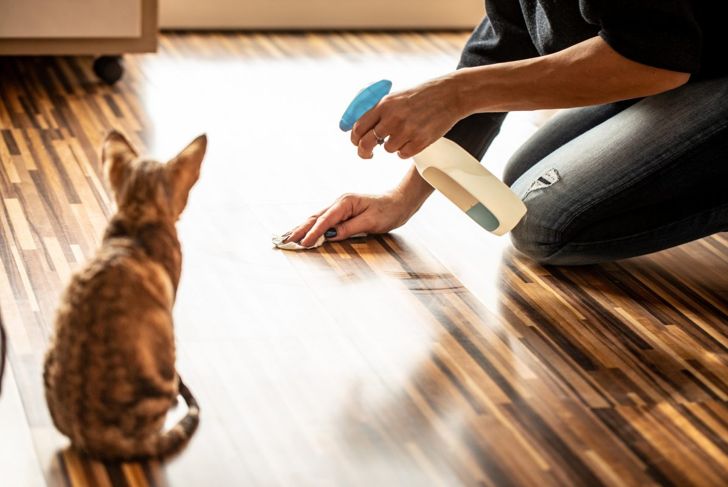 Easy DIY Hacks Every Pet Owner Needs to Know
