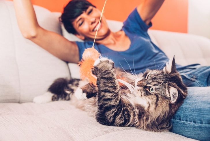 Easy Ways to Make Your Home Perfect for Your Furry Friends
