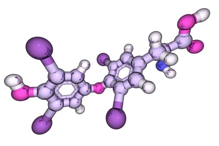 Getting to Know Tyrosine, a Vital Amino Acid