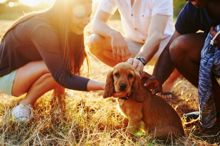 Having a Pet Can Improve Your Health