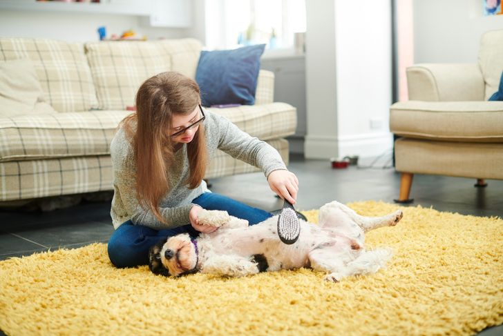 Hot Spots in Dogs: What Pet Parents Need To Know