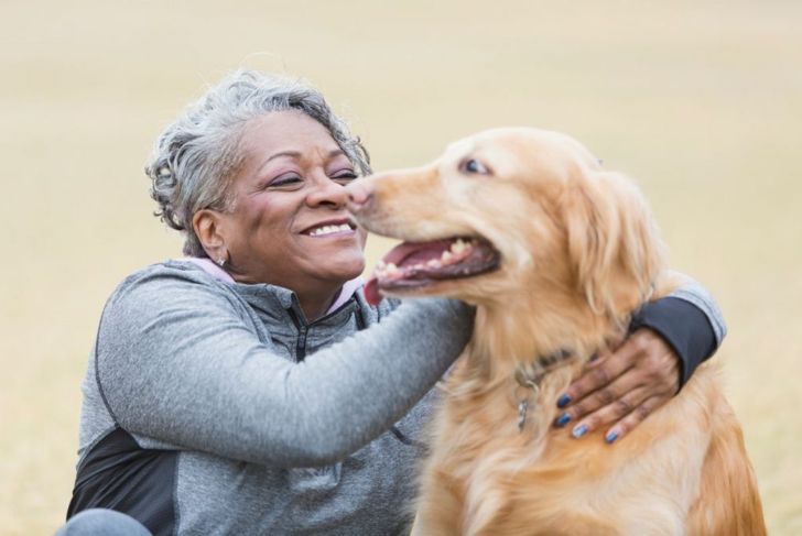 How Can I Catch Dementia in Dogs Early for Best Care?