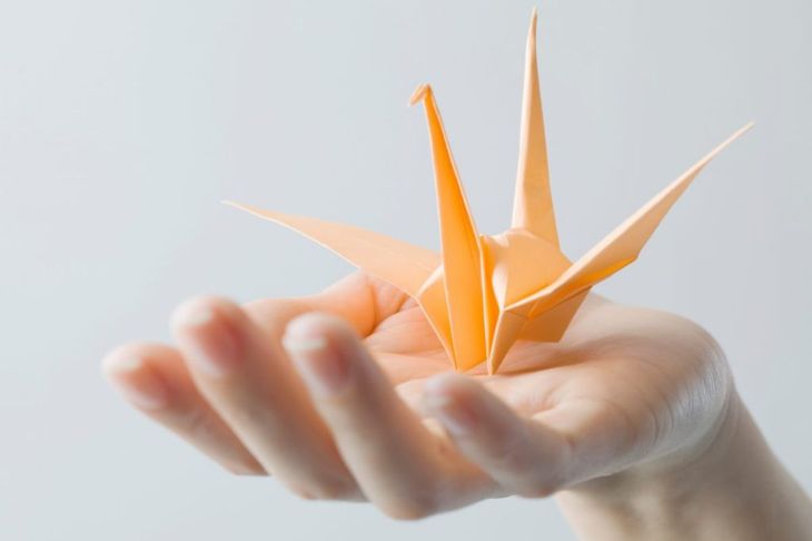 How to Fold an Origami Flapping Crane