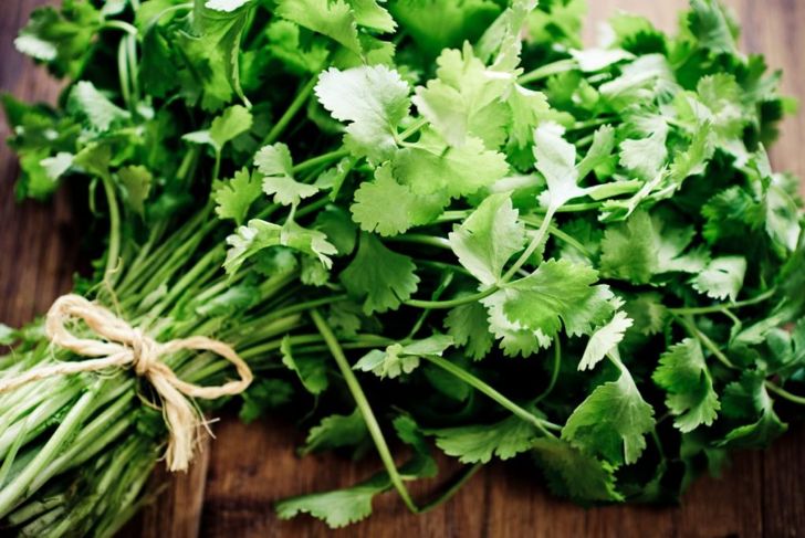 How to Grow Your Own Fresh Herbs