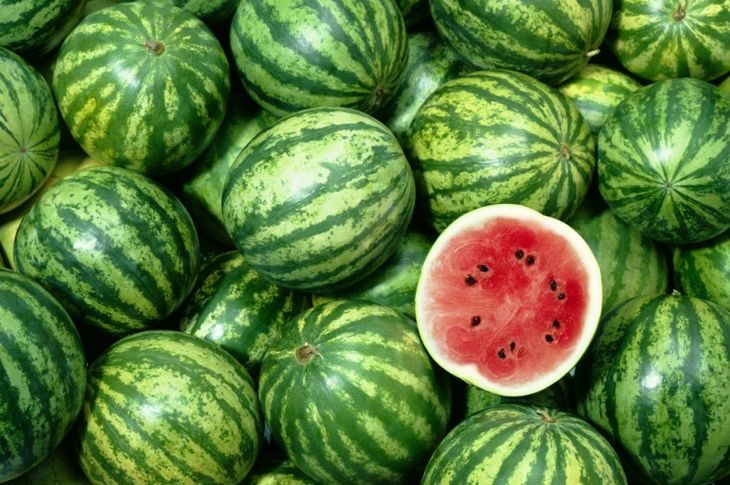 How to Pick a Watermelon