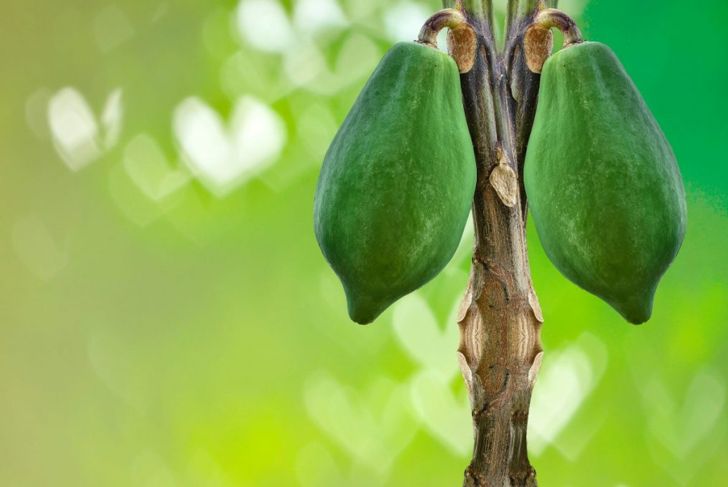 How to Tell If a Papaya Is Ripe
