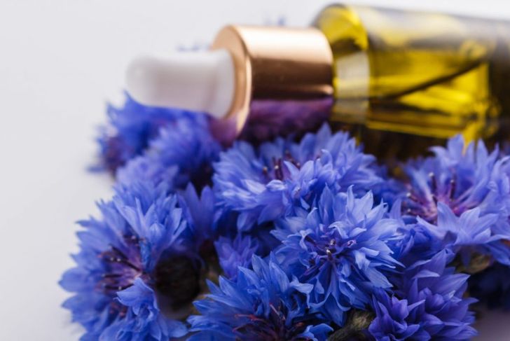 Hyssop: Food, Medicine, and Aromatherapy