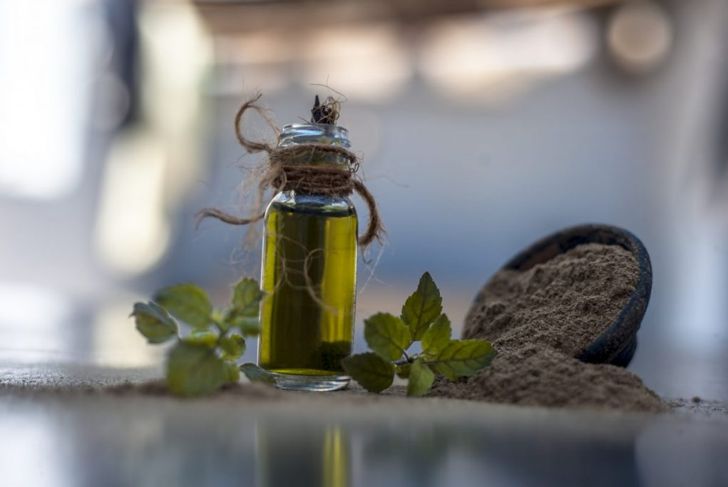 Medical Benefits of Bacopa, an Ancient Ayurvedic Herb