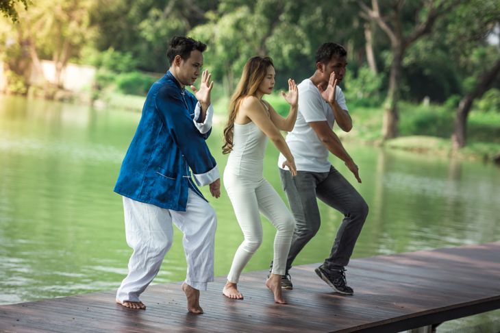 Qigong for Traditional Chinese Meditation and Martial Arts Training