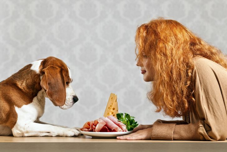Some People Foods Are Safe for Your Dog, Others Aren't