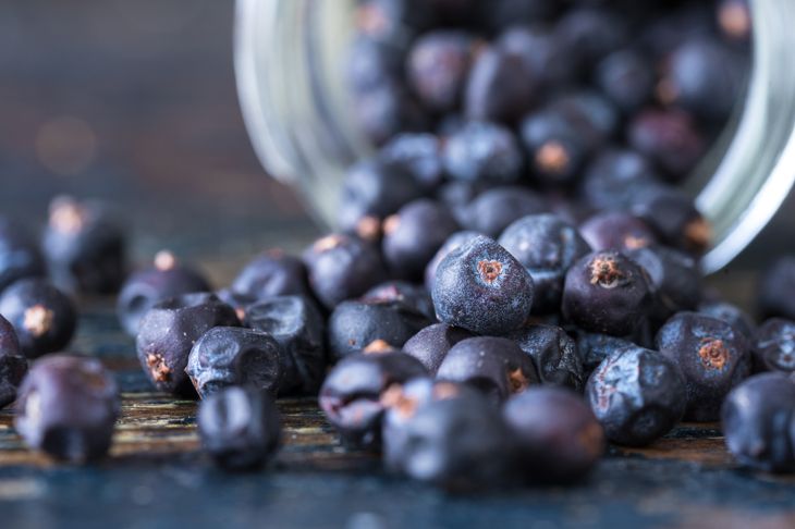 Surprising Health Benefits of Juniper Berries