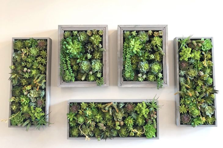 Take Your Green Thumb to New Heights With Vertical Gardening