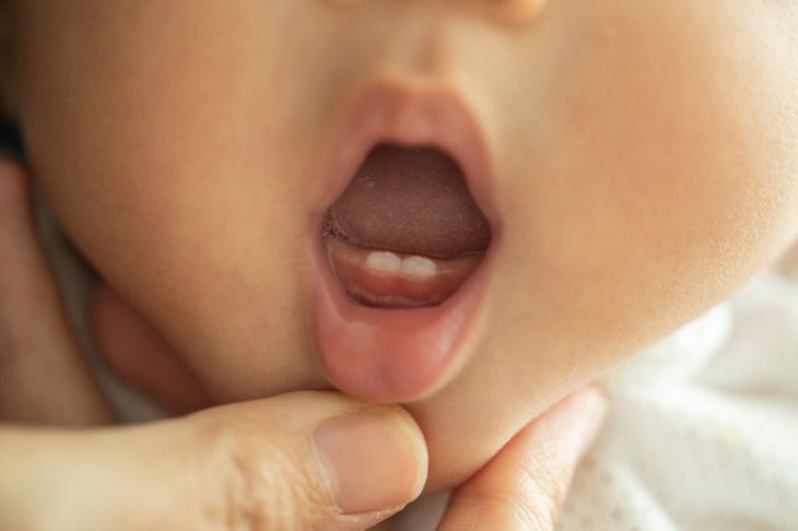 Teething Timeline From Baby to Adult