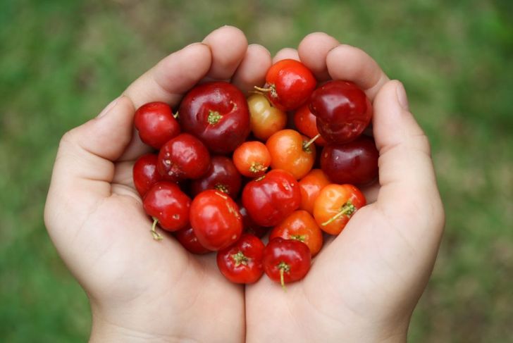 The Benefits and Research on Acerola Fruit
