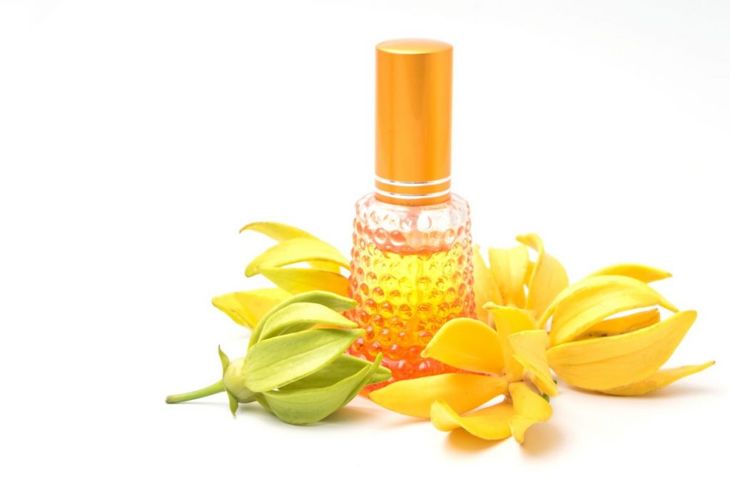 The Benefits of Ylang Ylang Essential Oil