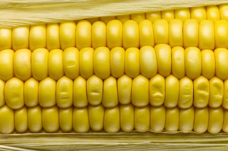 The Surprising Nutritional Benefits of Corn