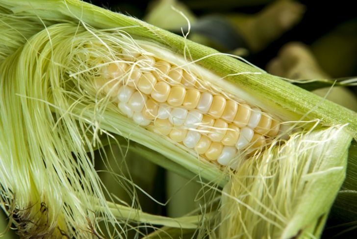 The Surprising Nutritional Benefits of Corn