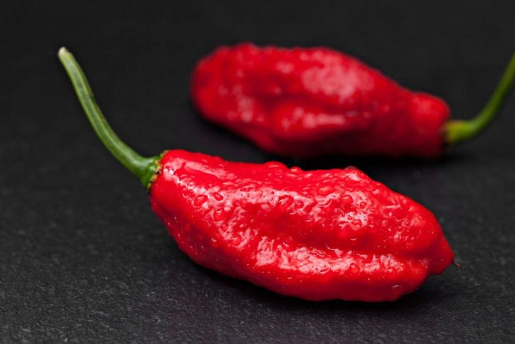 These Are the Hottest Peppers on the Planet
