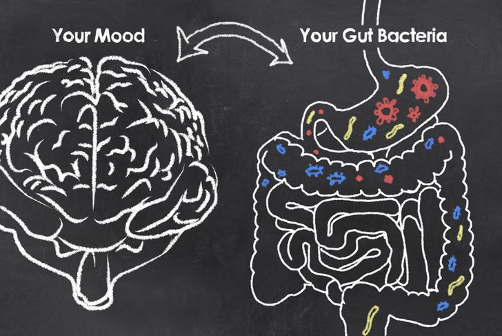 Understanding the Gut Brain Connection