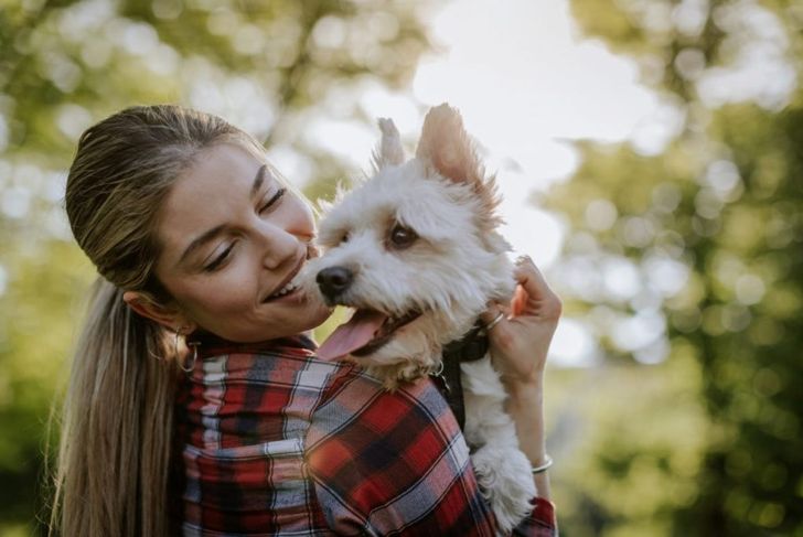 Why Do Dogs Lick People?
