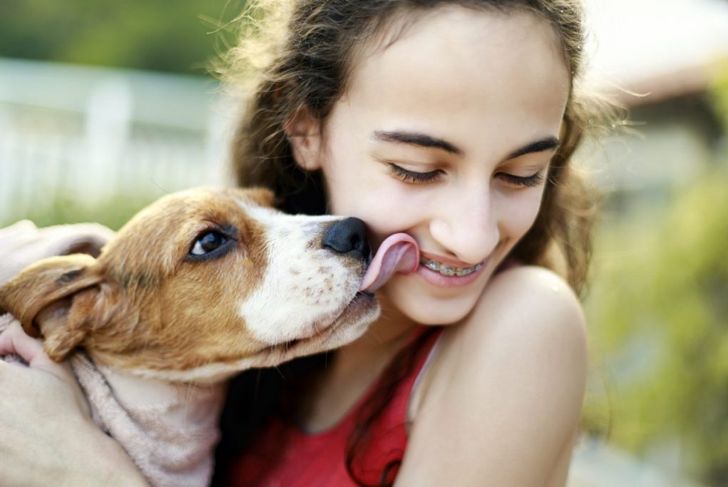 Why Do Dogs Lick People?