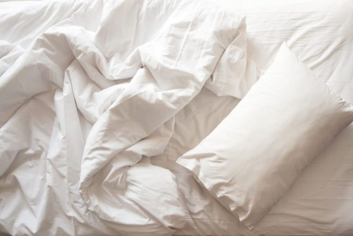 10 Facts About Bed Bugs You Should Know