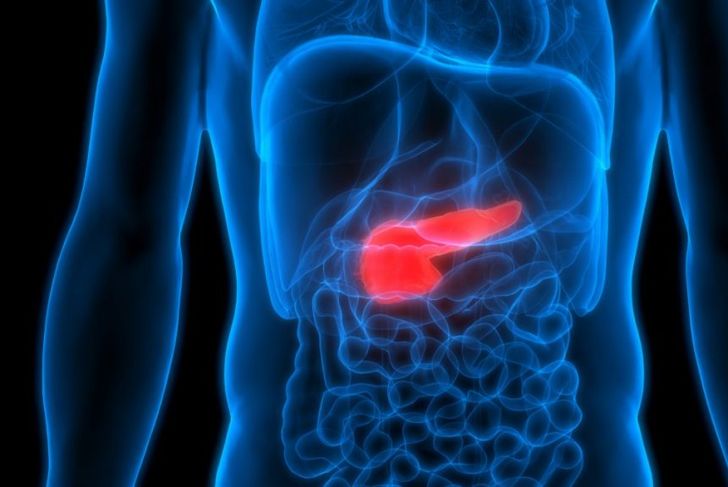 10 Facts About Exocrine Pancreatic Insufficiency