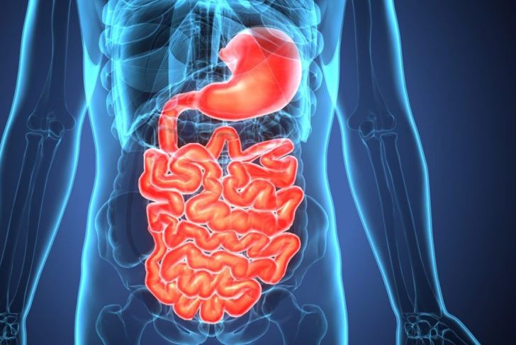 10 Facts about Gastrointestinal Cancer