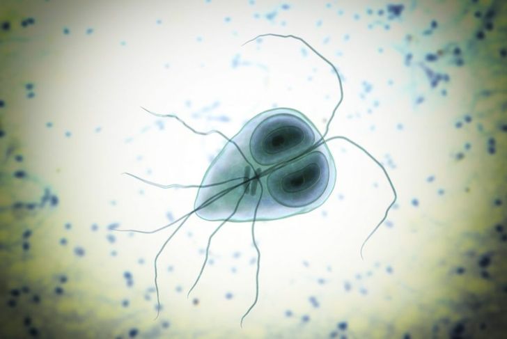 10 Facts About Giardiasis
