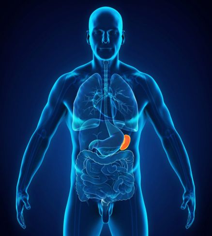 10 Facts About Splenomegaly