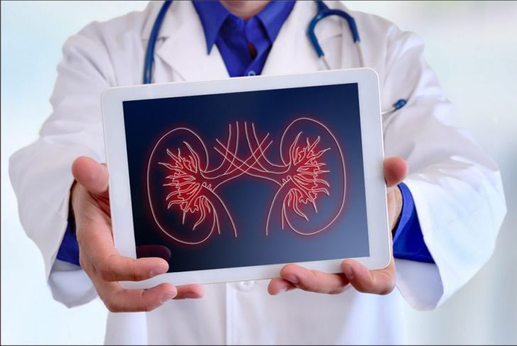 10 Frequently Asked Questions About Nephrotic Syndrome