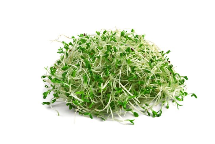 10 Health Benefits of Alfalfa Sprouts