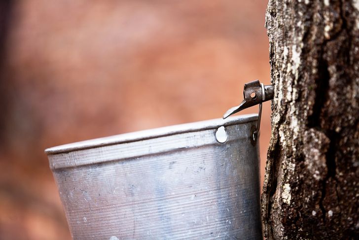 10 Health Benefits of Maple Syrup