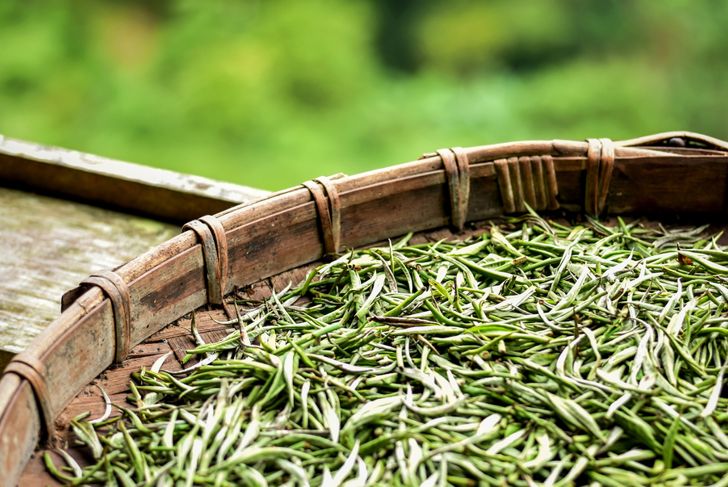 10 Key Benefits for Drinkers of White Tea