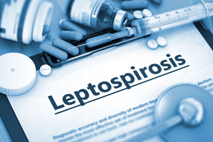 10 Symptoms and Treatments of Leptospirosis