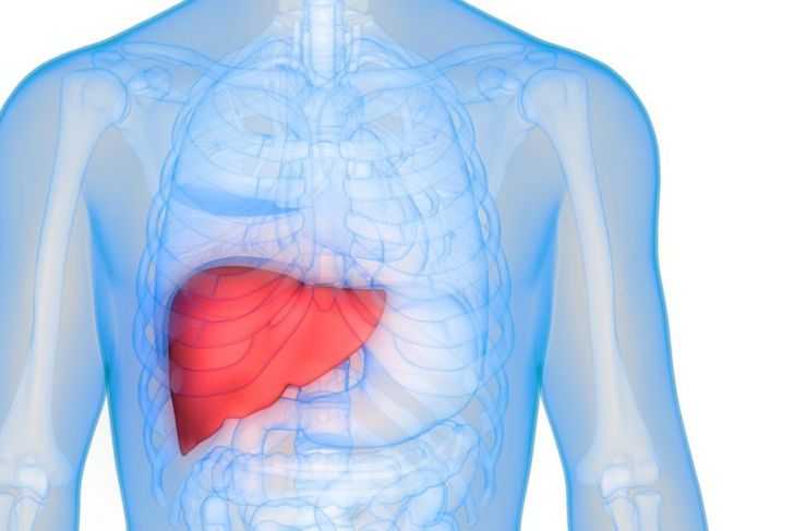 10 Things to Know About Hepatomegaly