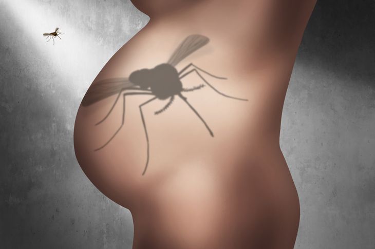 10 Things You Need to Know About Zika Virus and Pregnancy