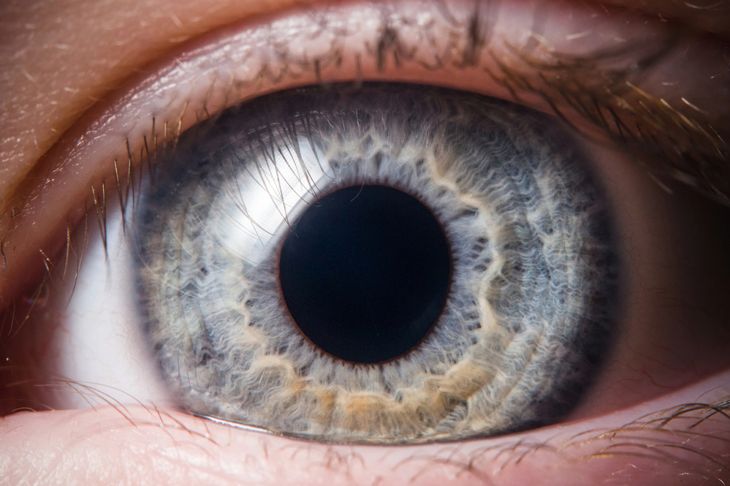 8 Treatments of Macular Degeneration (and How to Prevent it)