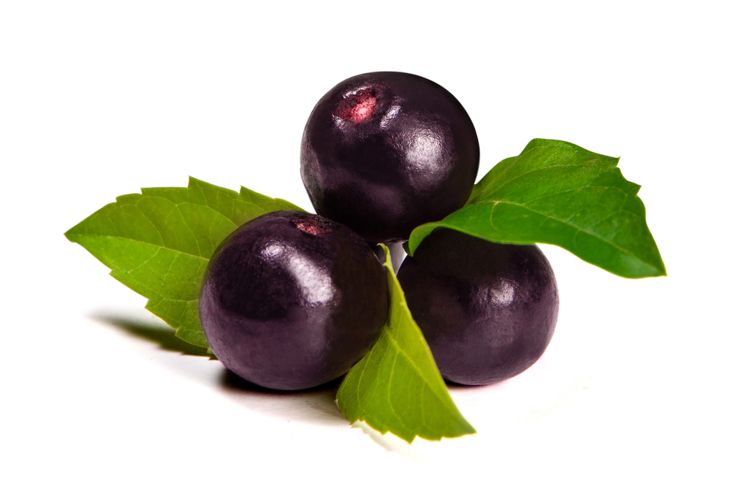 Acai Berries - The New Superfood?