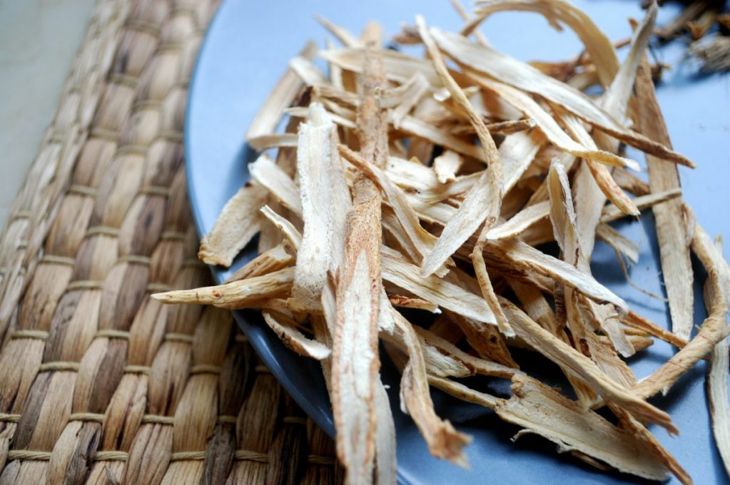 Astragalus: An Ancient Root with Surprising Health Benefits