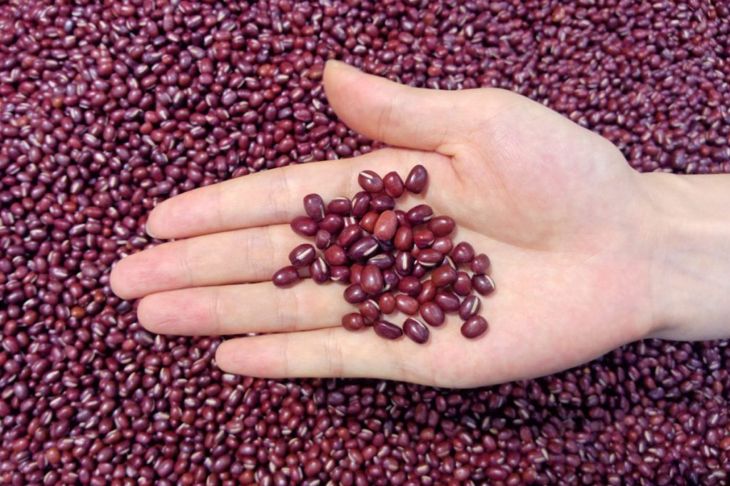 Azuki Beans: For Weight Loss and Much More