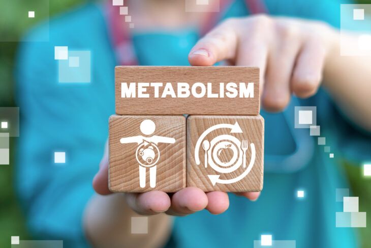 Burning Facts About Your Metabolism